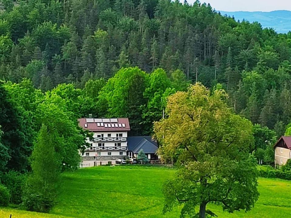 Gorski Widok I Pokoje- Salon Kominkowy Habitación en casa particular *