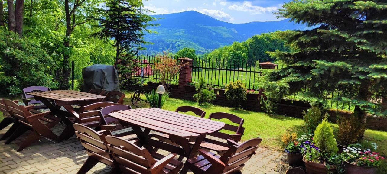 Gorski Widok Karpacz Apartamenty I Pokoje- Salon Kominkowy Homestay